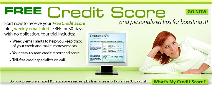 Google Free Credit Report